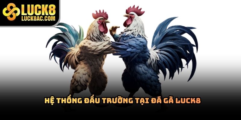 Đá gà Luck8